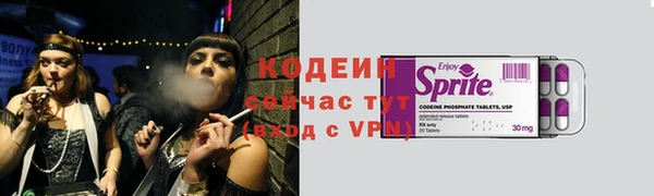 метадон Богданович