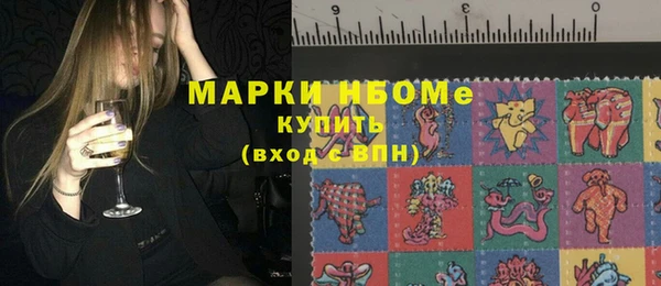 метадон Богданович