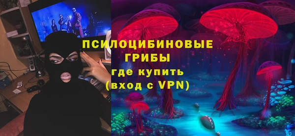 метадон Богданович