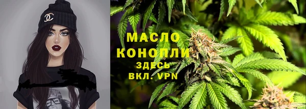 метадон Богданович